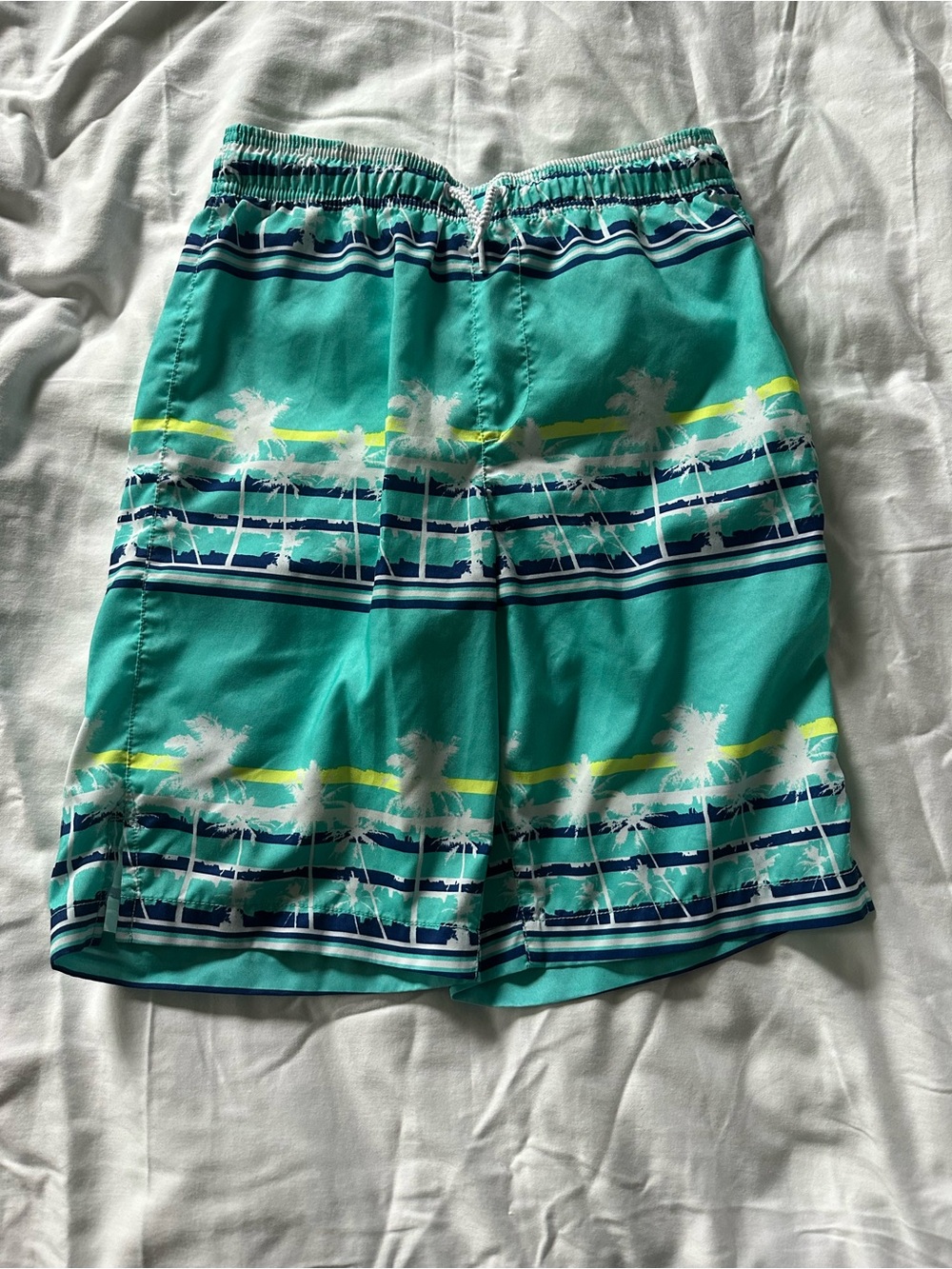 Boy’s Teal Palm-Print Swim Shorts